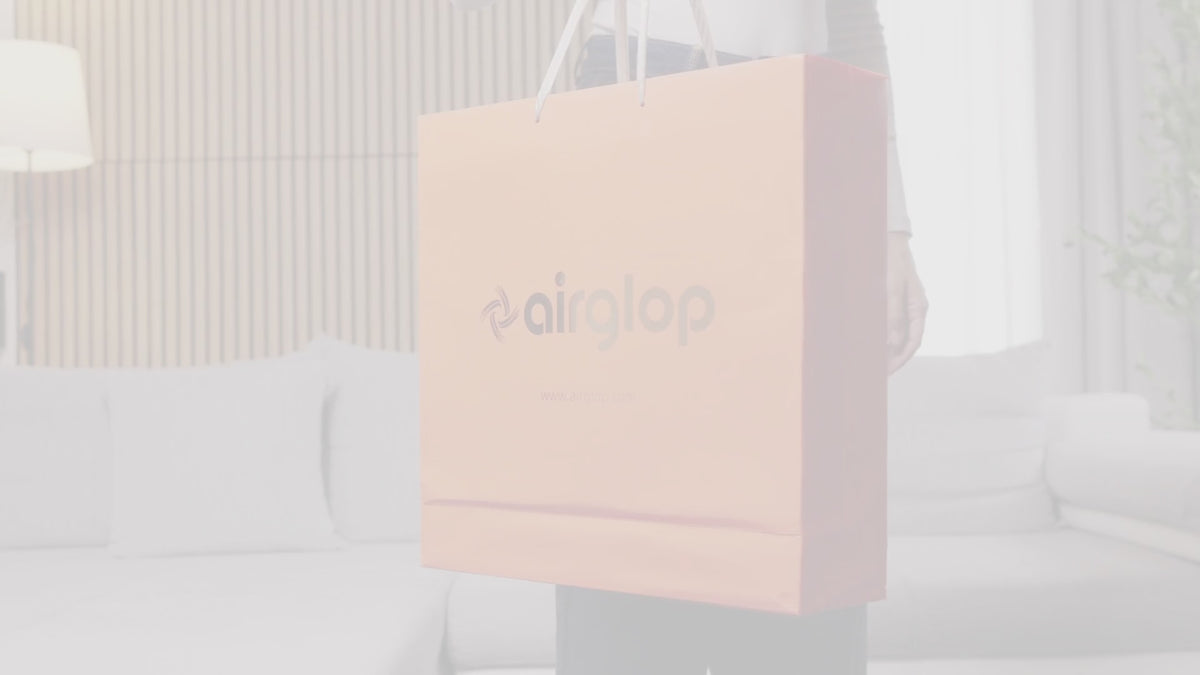 Airglop Hair Dryer DF56